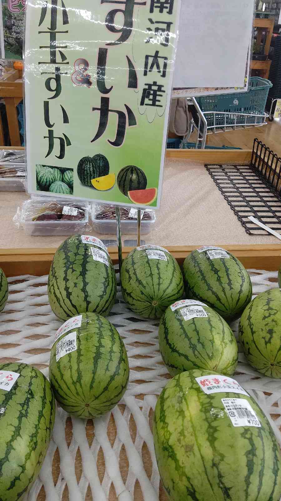 投稿された画像