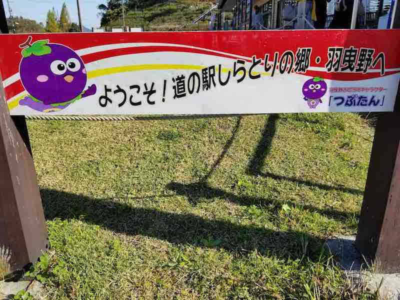 投稿された画像