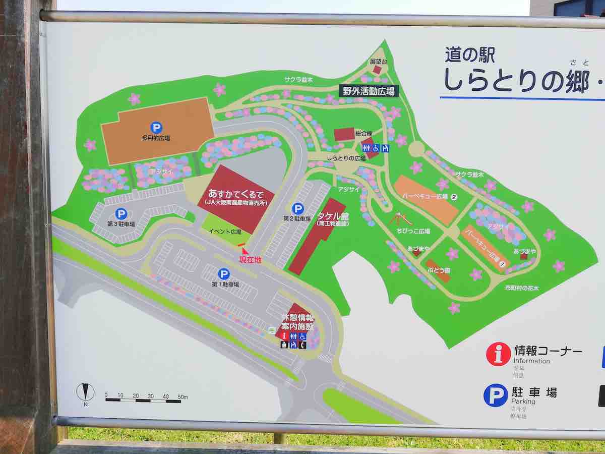 投稿された画像