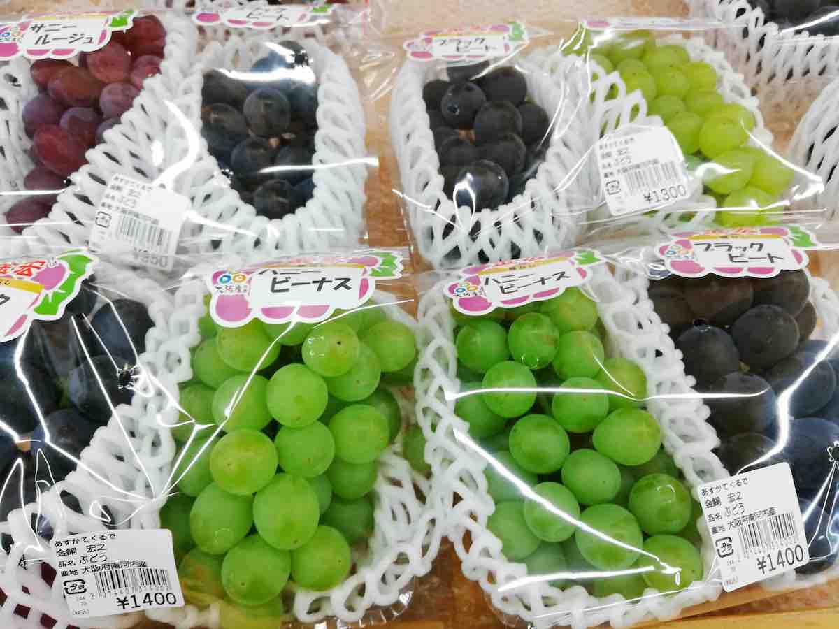 投稿された画像