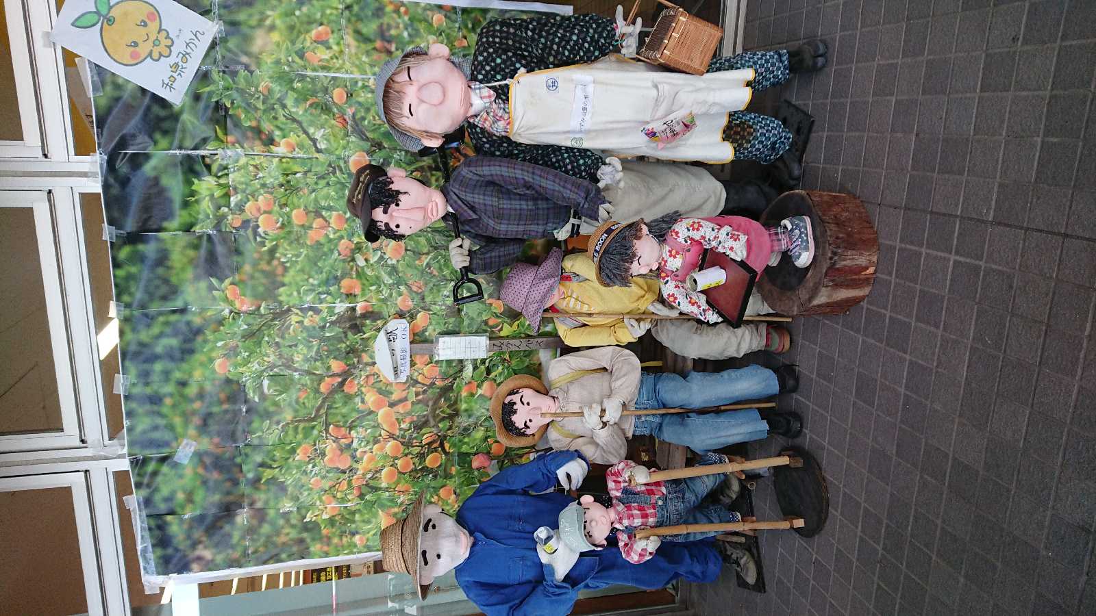 投稿された画像