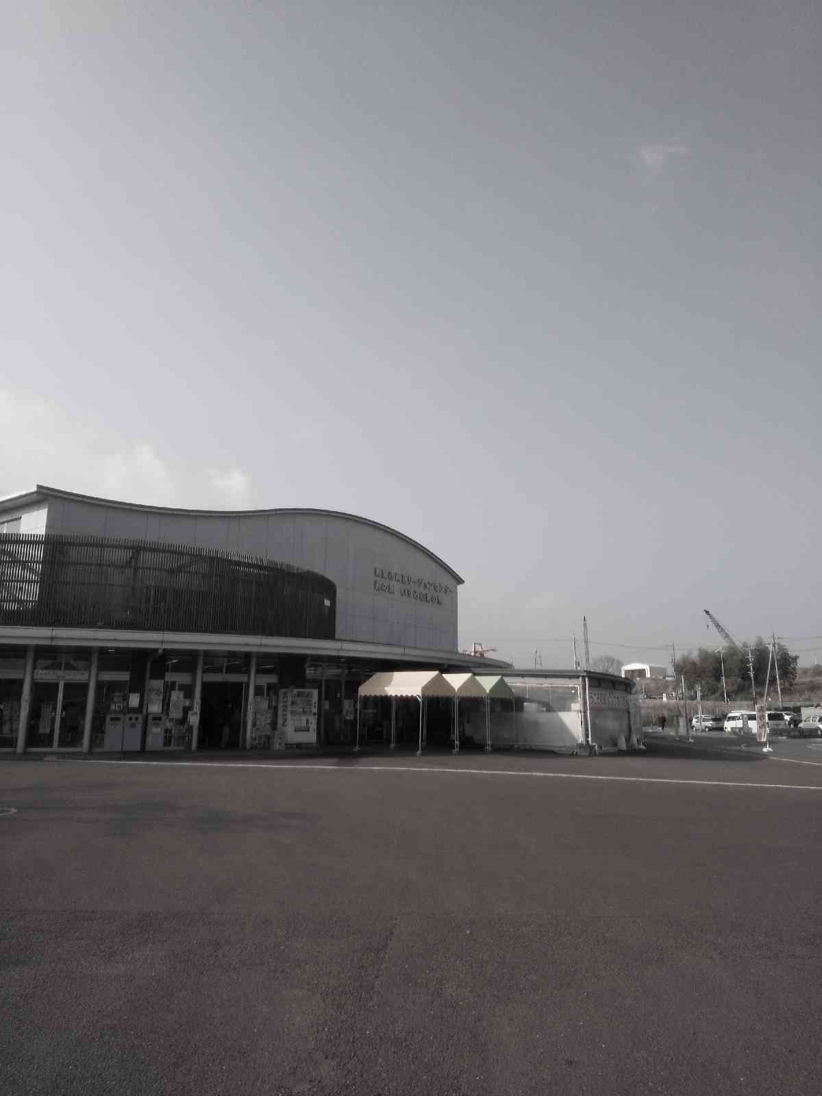 投稿された画像