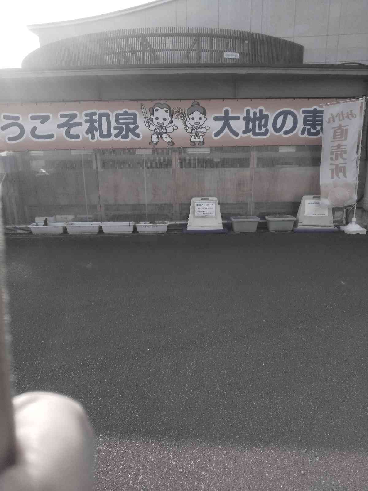 投稿された画像