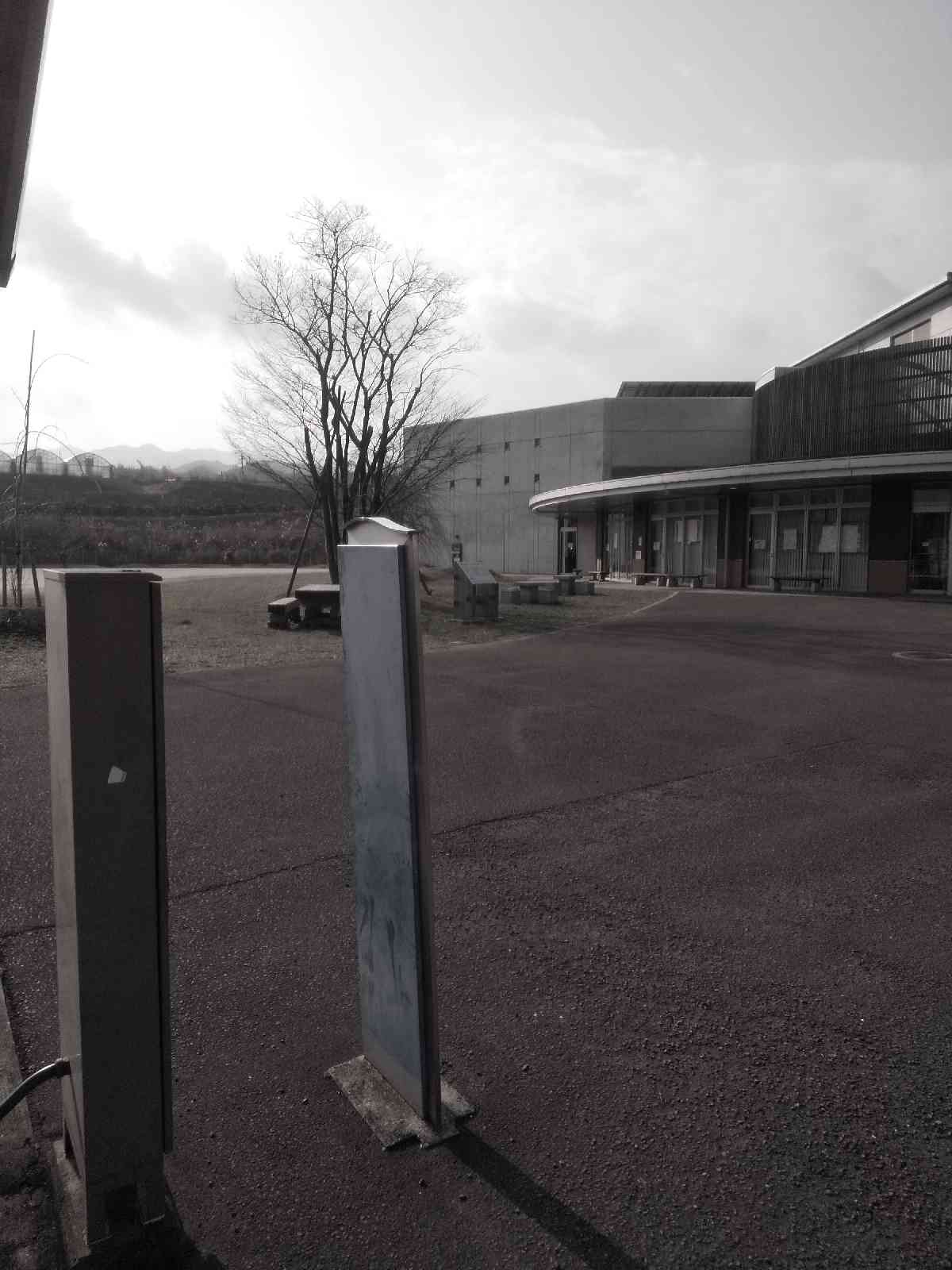 投稿された画像