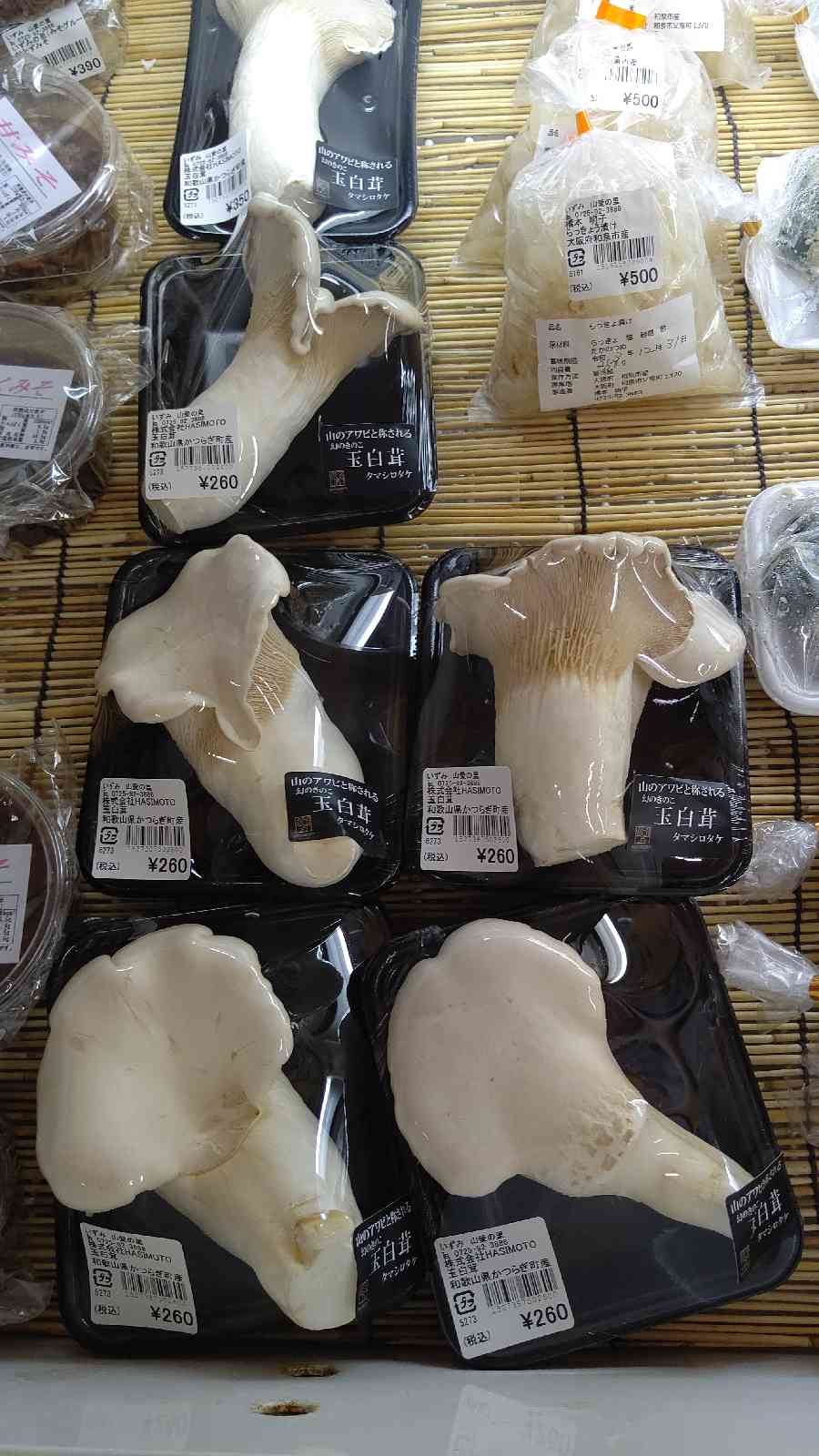 投稿された画像