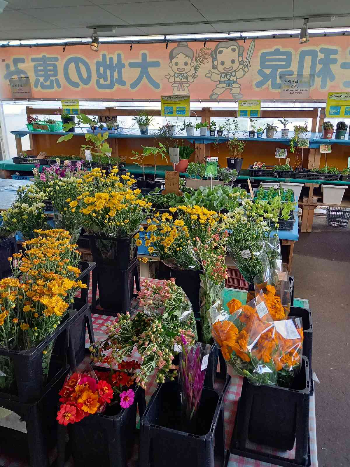 投稿された画像