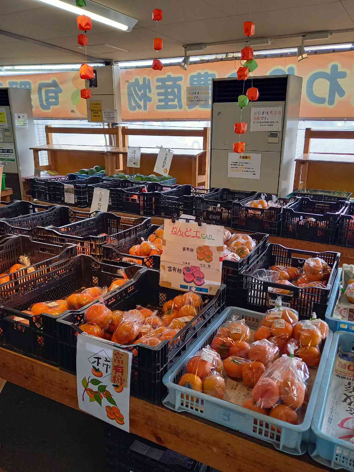 投稿された画像