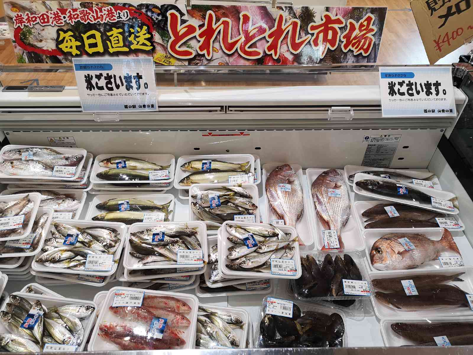 投稿された画像