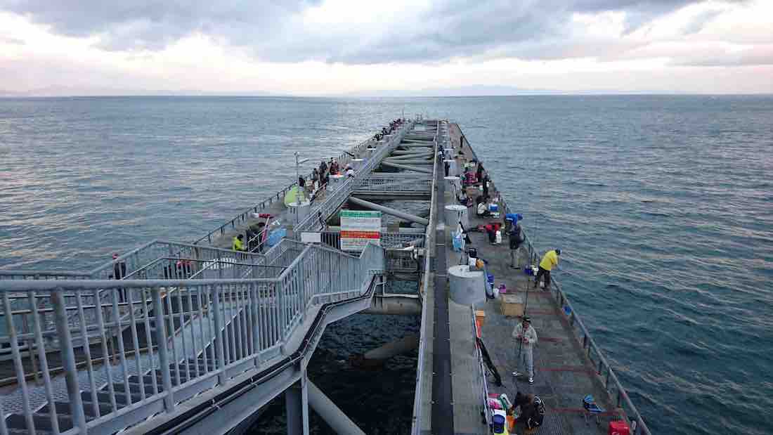 投稿された画像