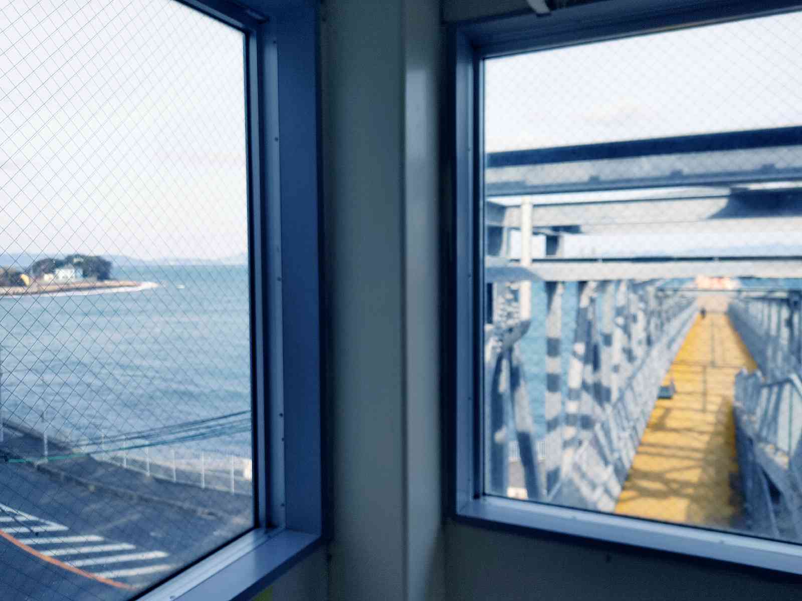 投稿された画像