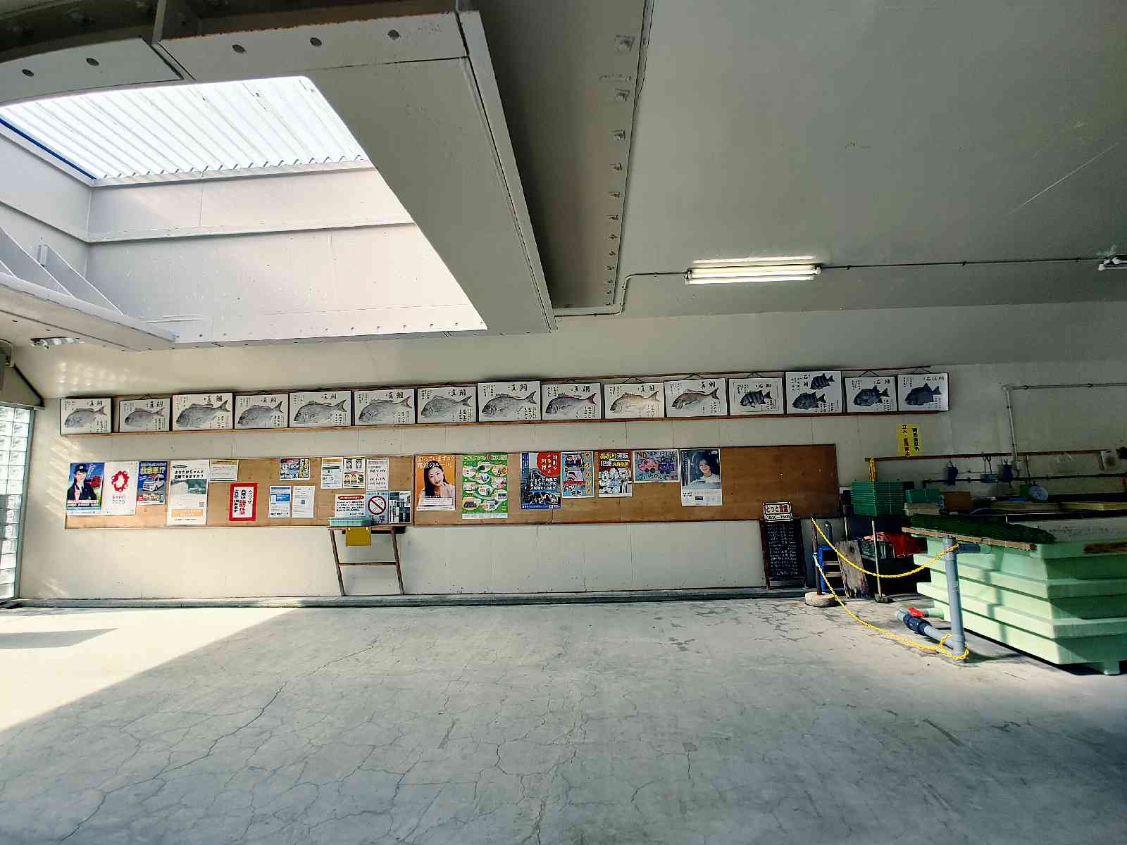 投稿された画像