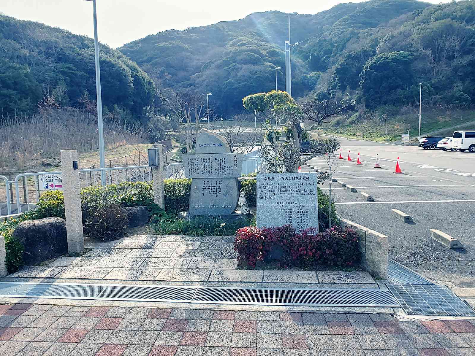 投稿された画像