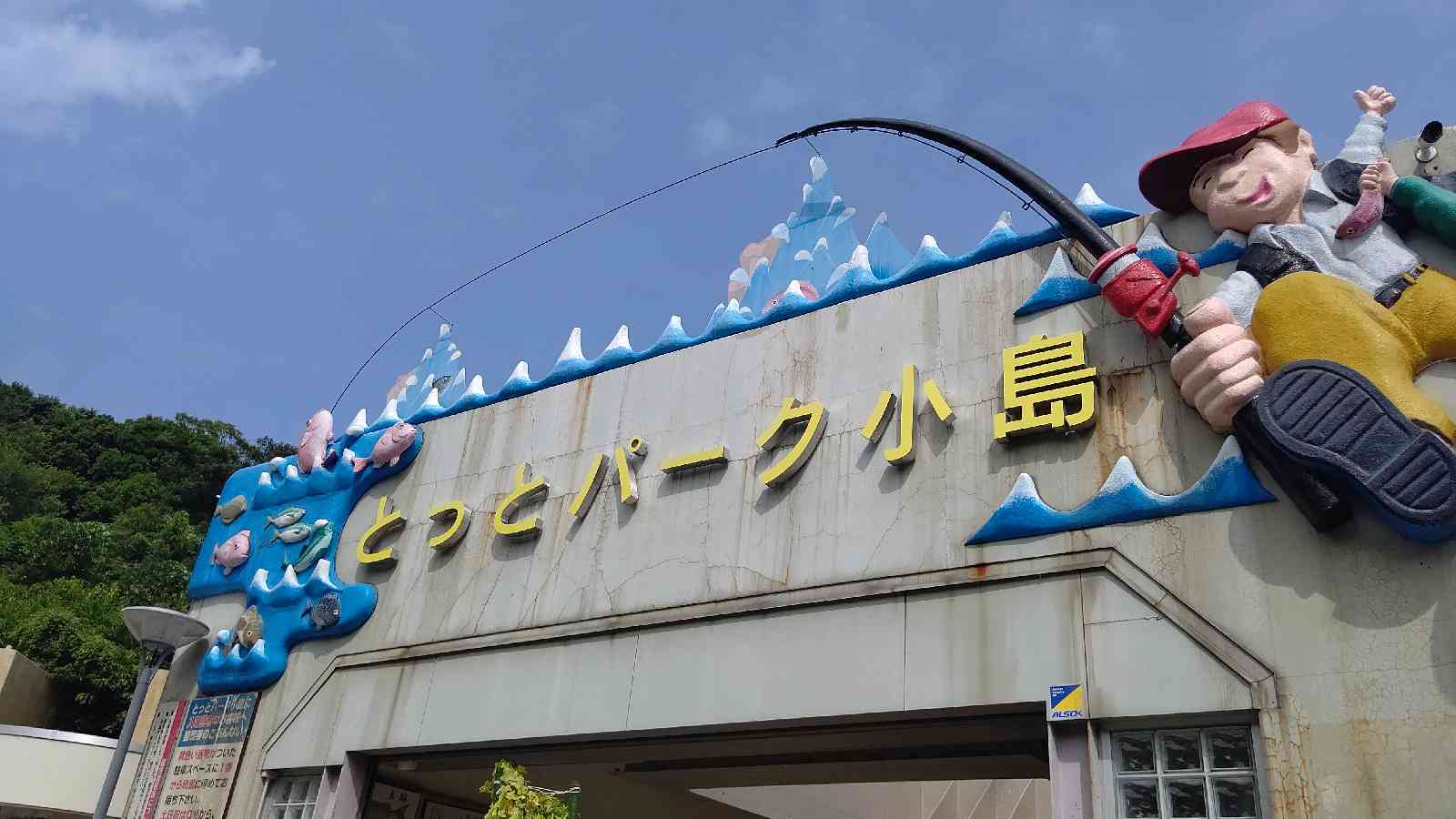 投稿された画像