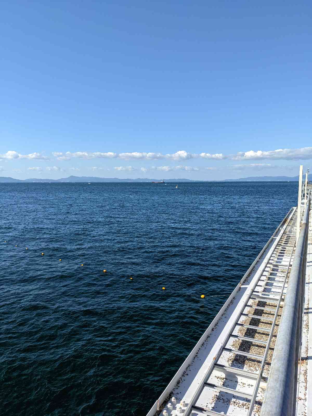 投稿された画像