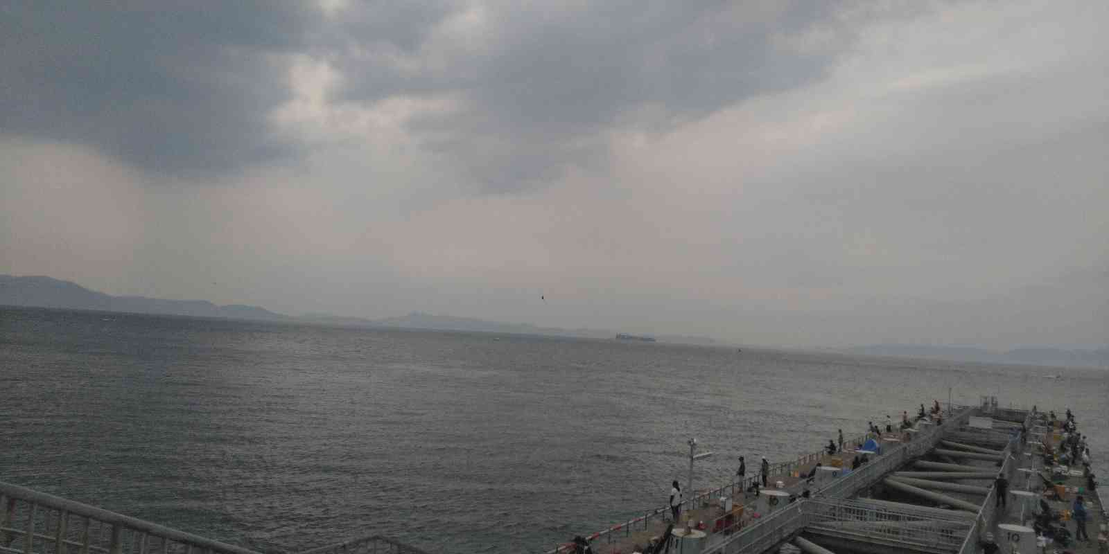 投稿された画像