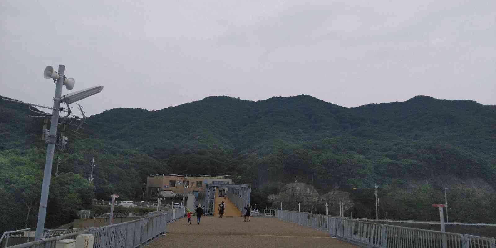 投稿された画像