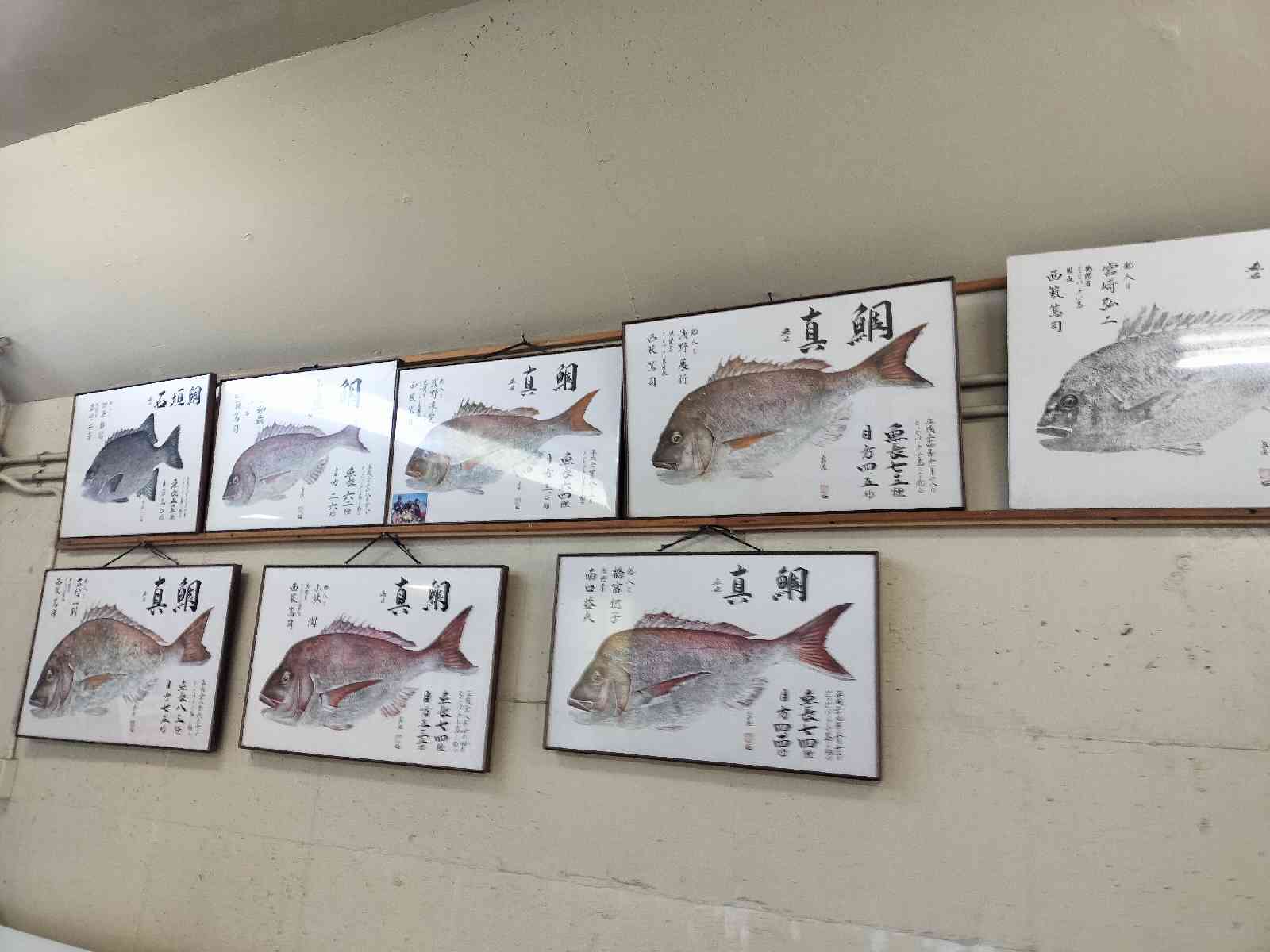 投稿された画像