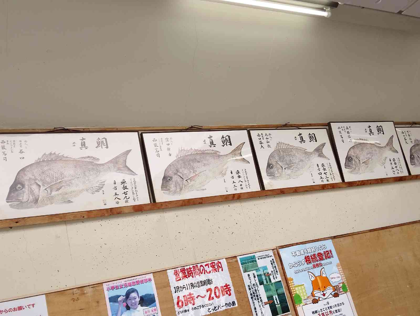 道の駅 とっとパーク小島の写真