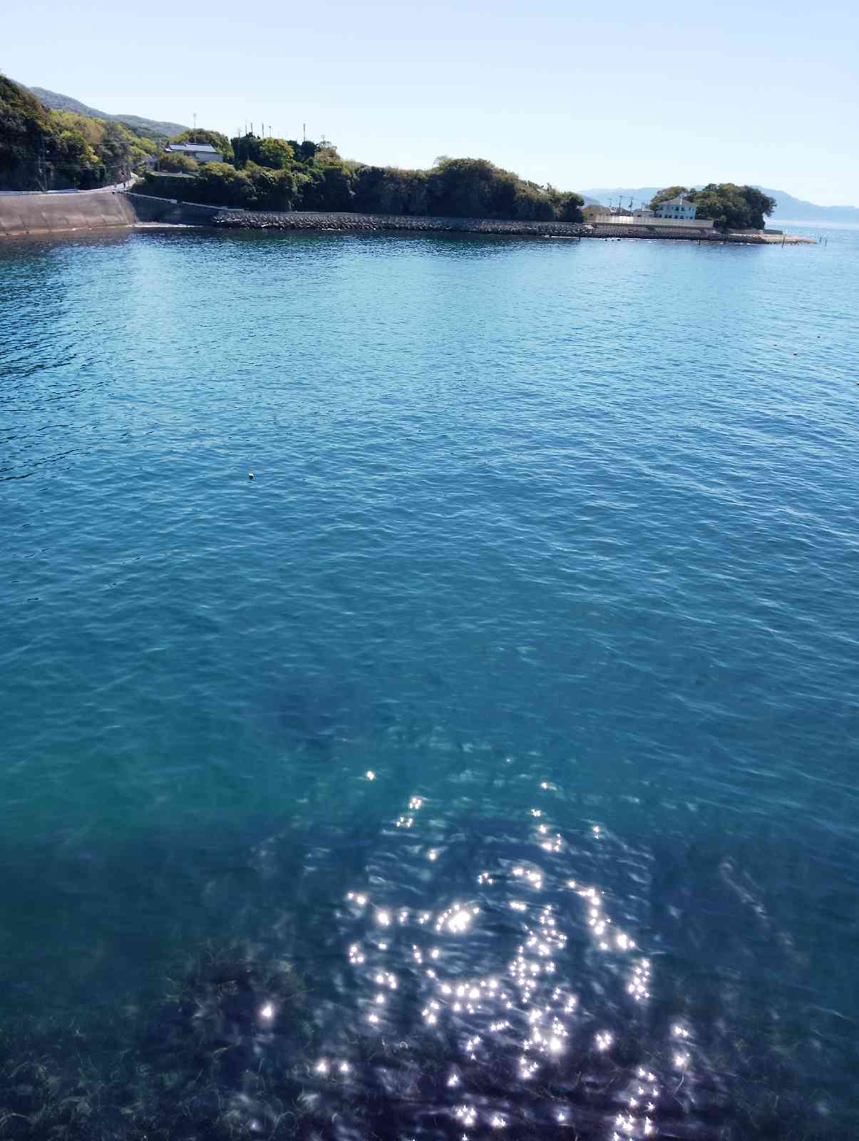 道の駅 とっとパーク小島の写真