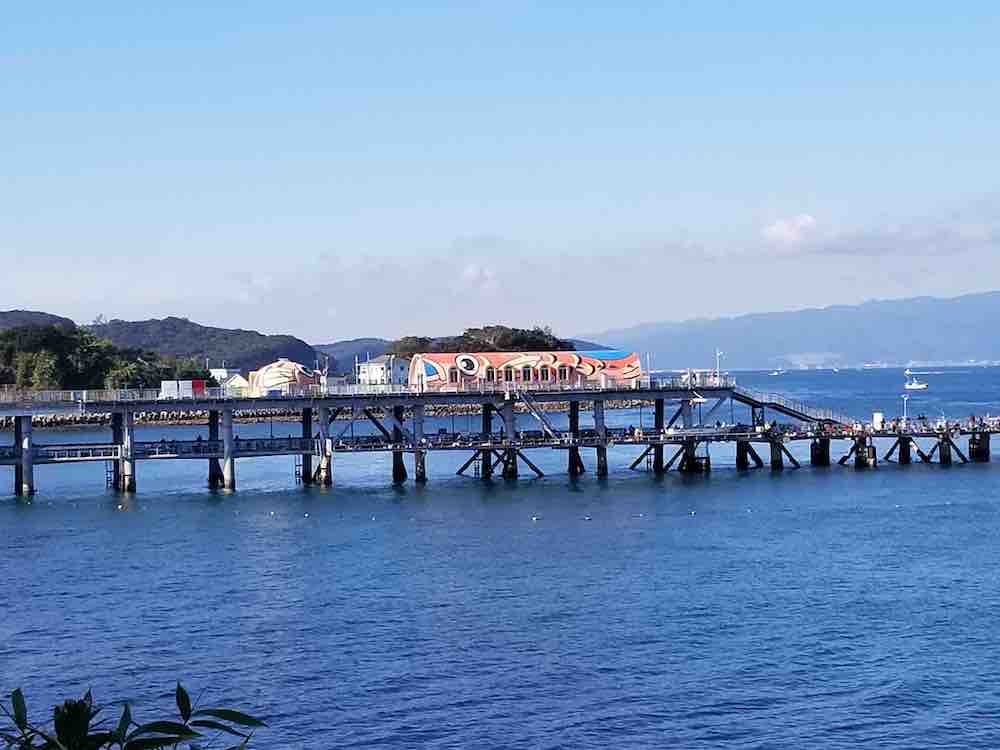 投稿された画像