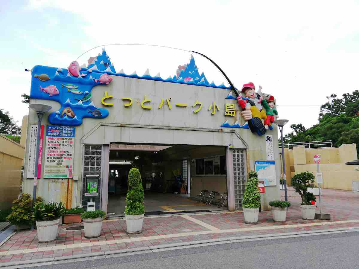 投稿された画像