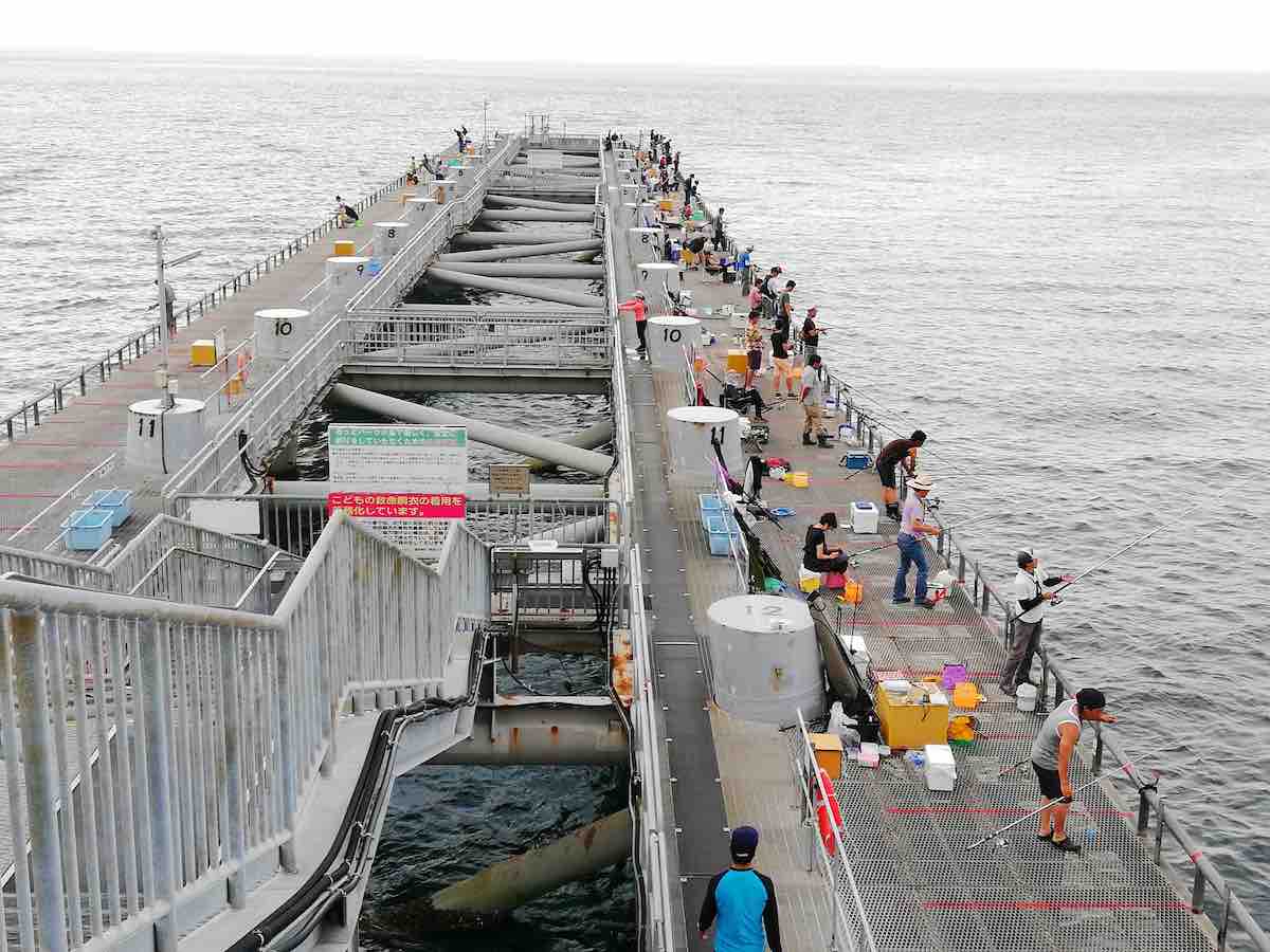 投稿された画像