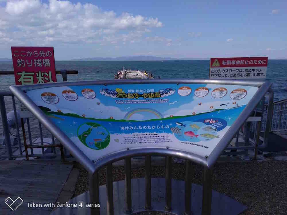 投稿された画像