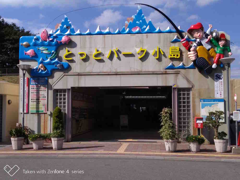 投稿された画像