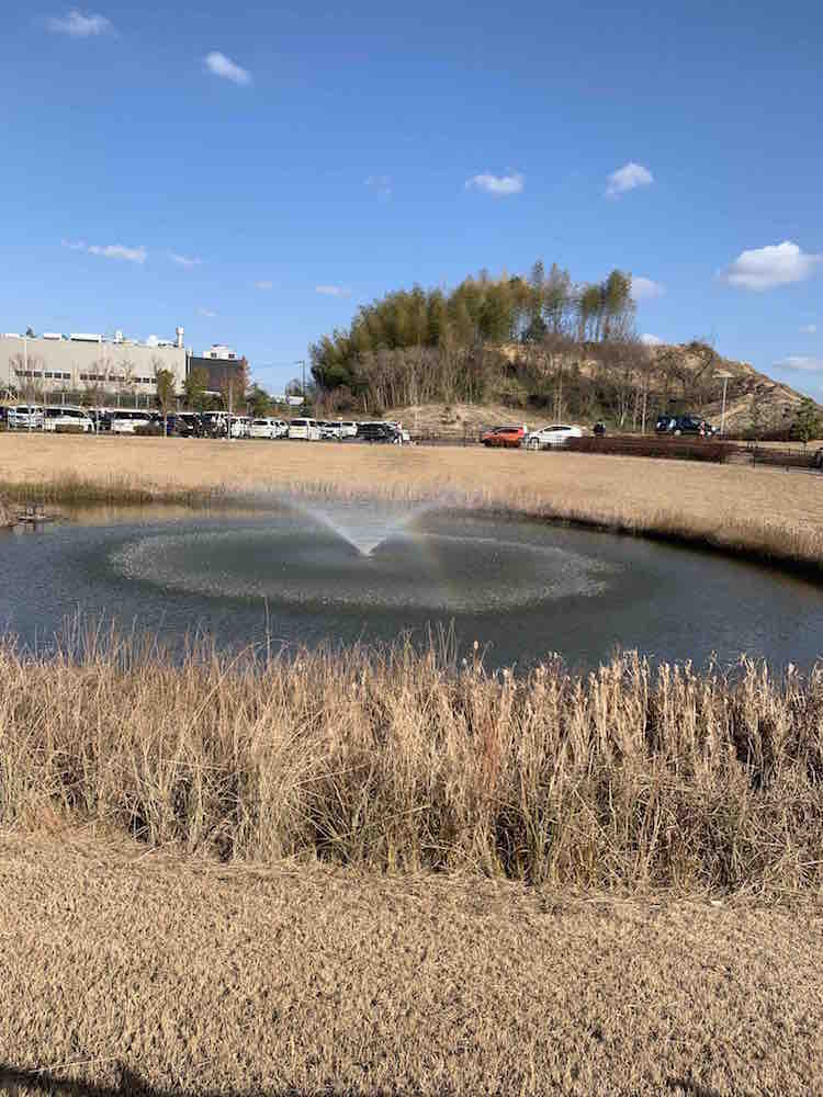 投稿された画像