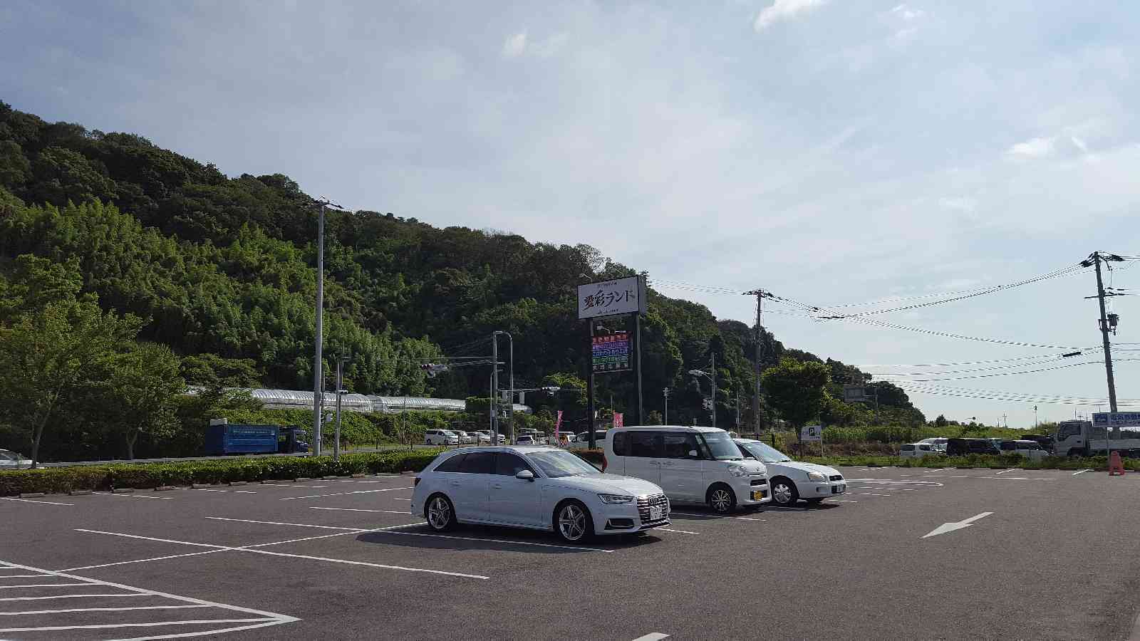 投稿された画像