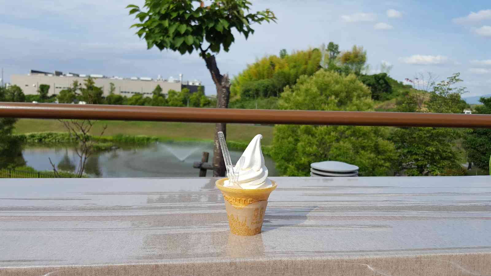 投稿された画像