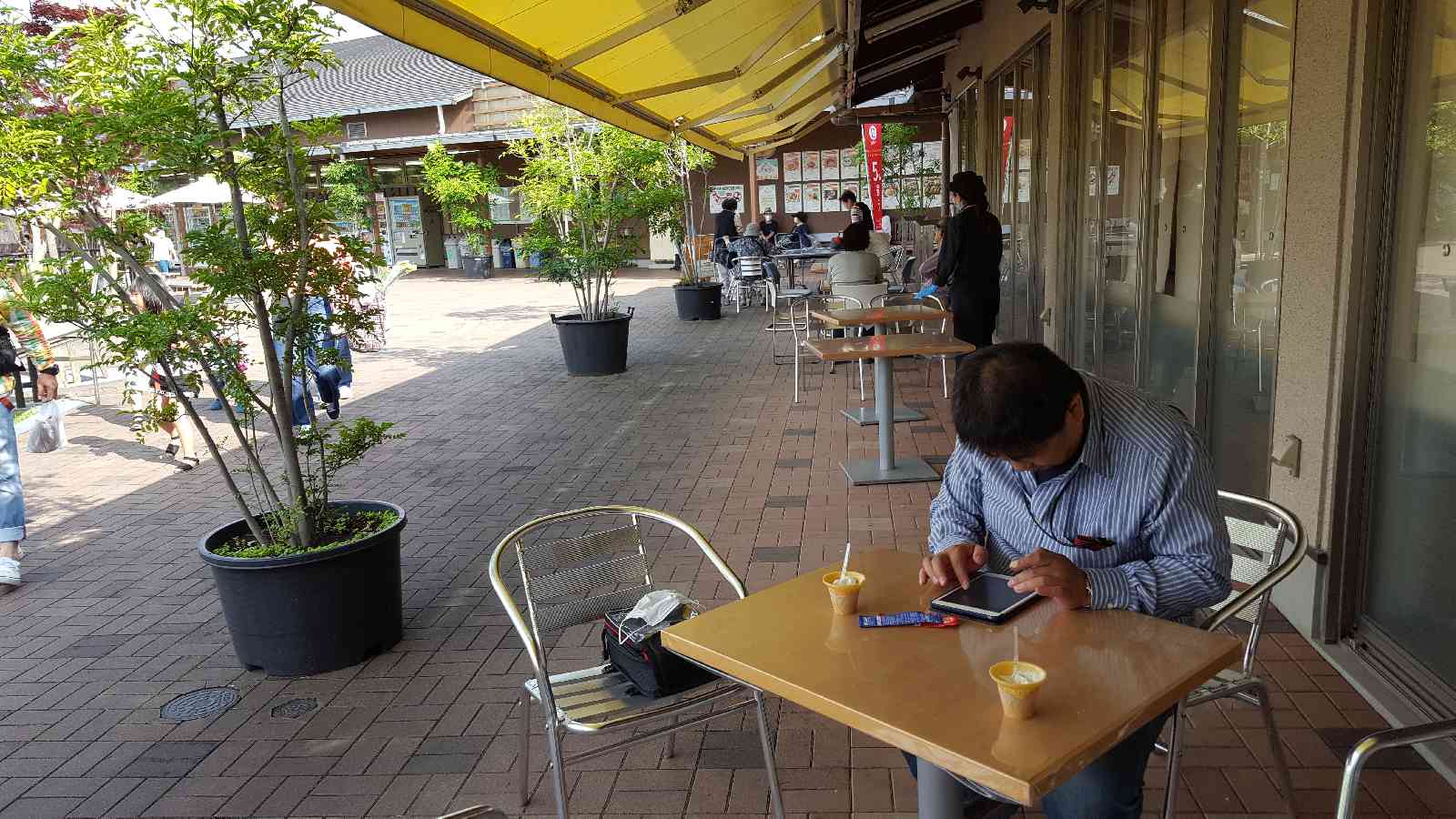 投稿された画像