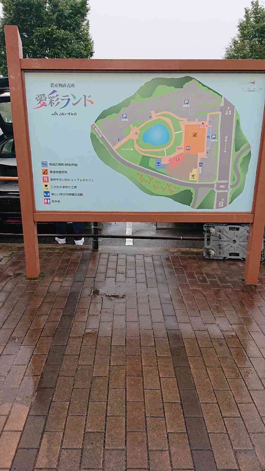 投稿された画像