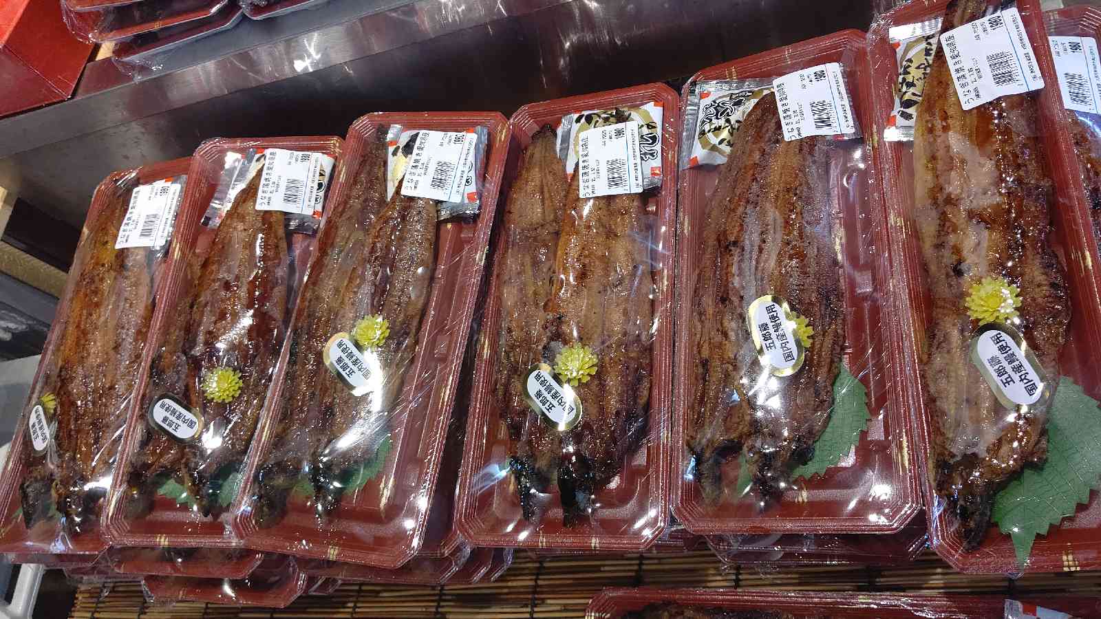 投稿された画像