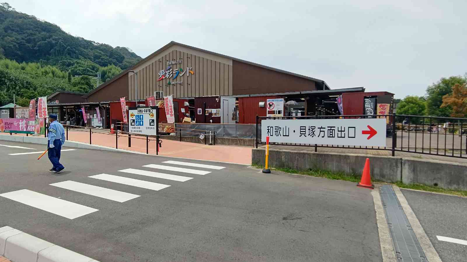 投稿された画像