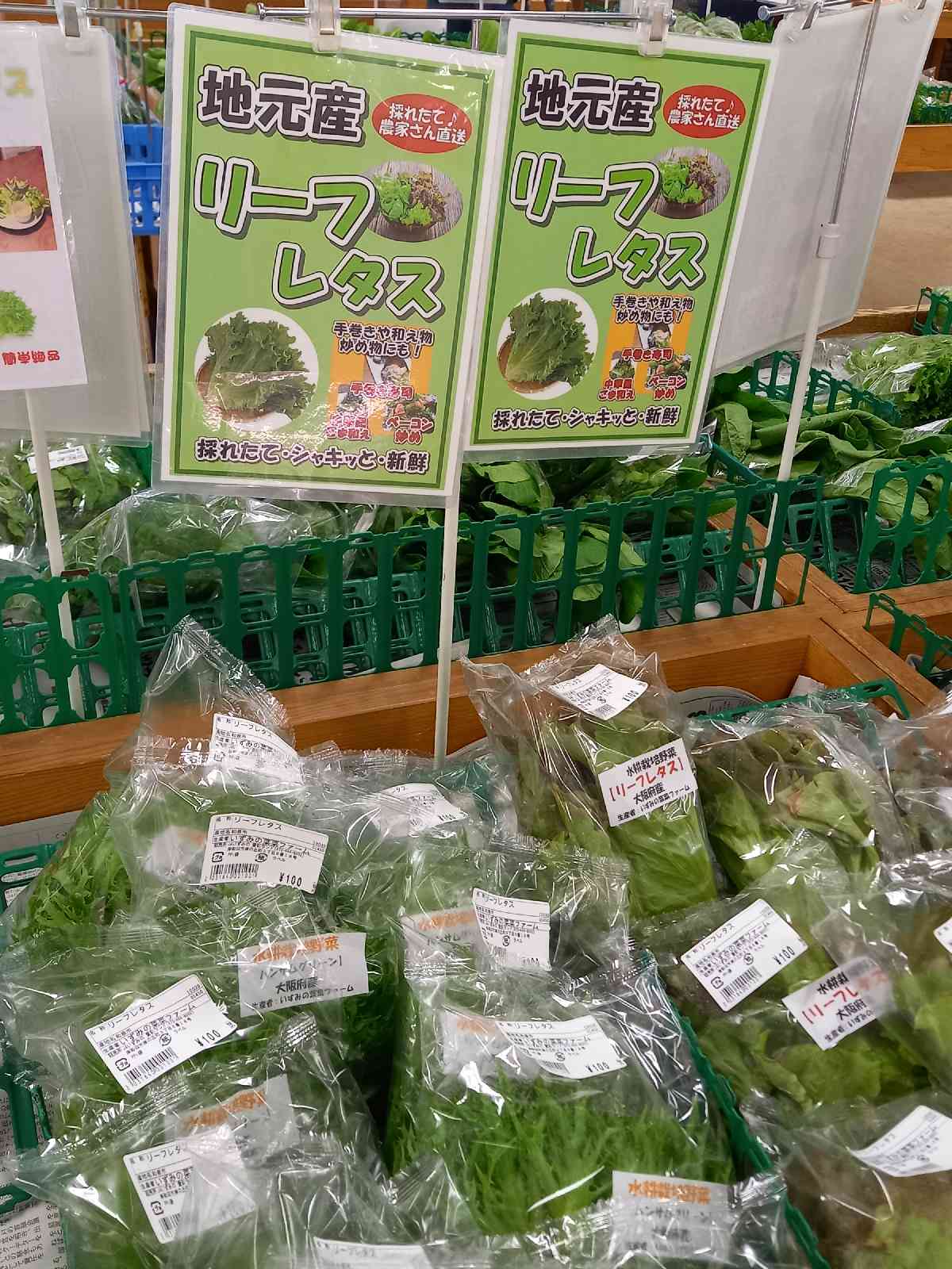 投稿された画像