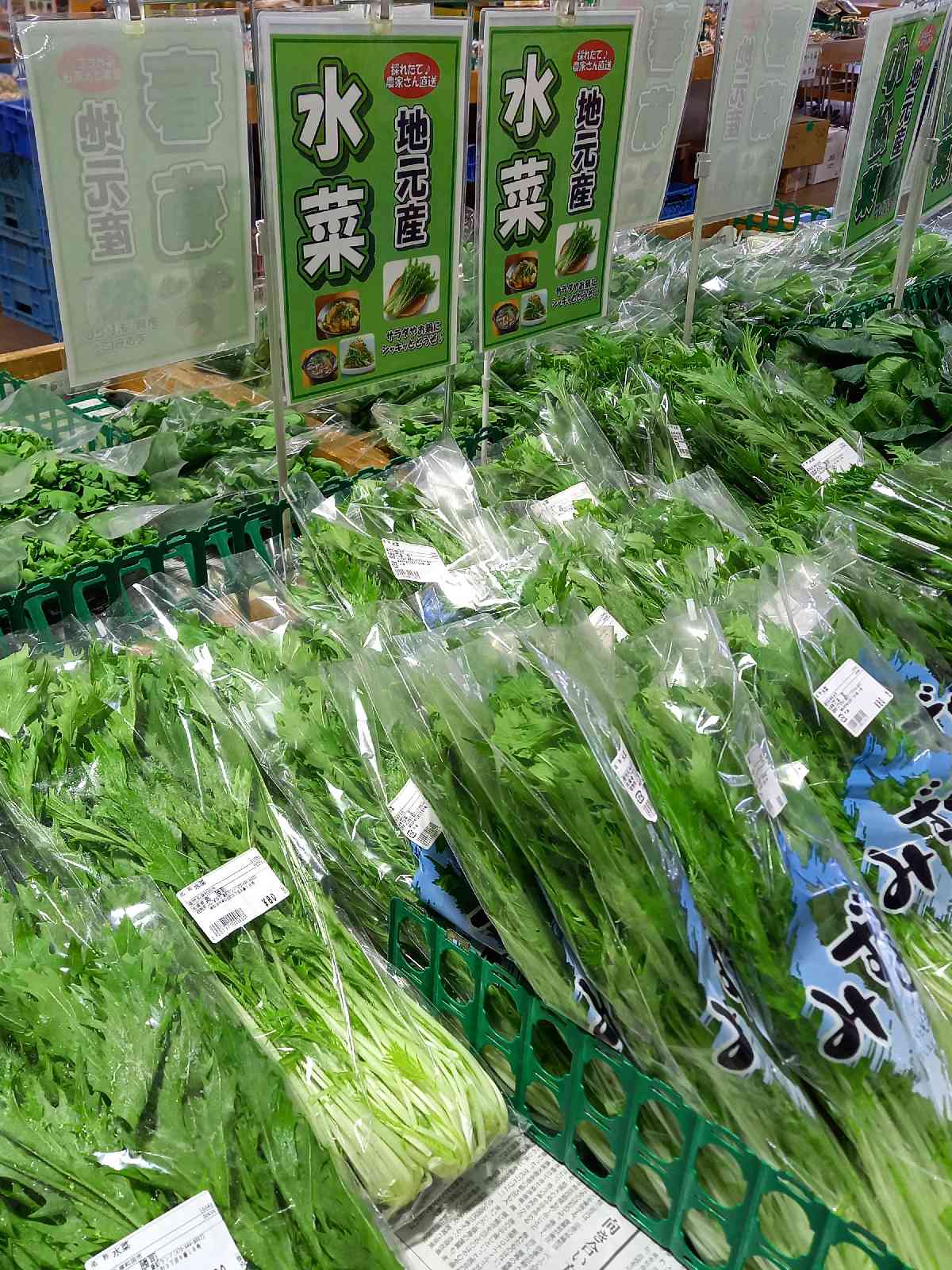 投稿された画像