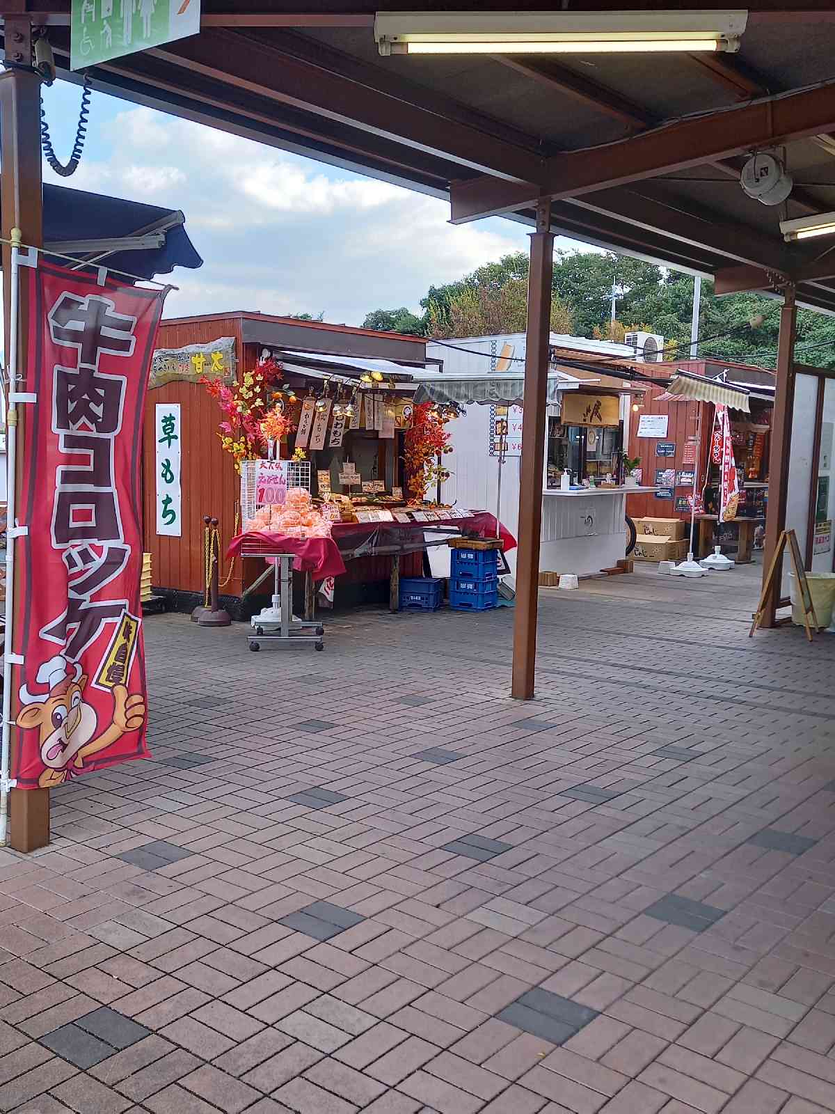 投稿された画像