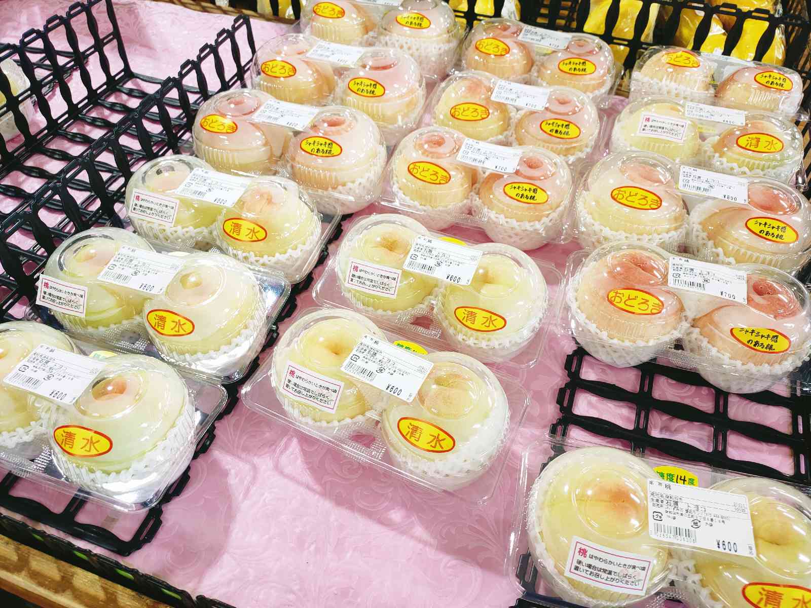 投稿された画像