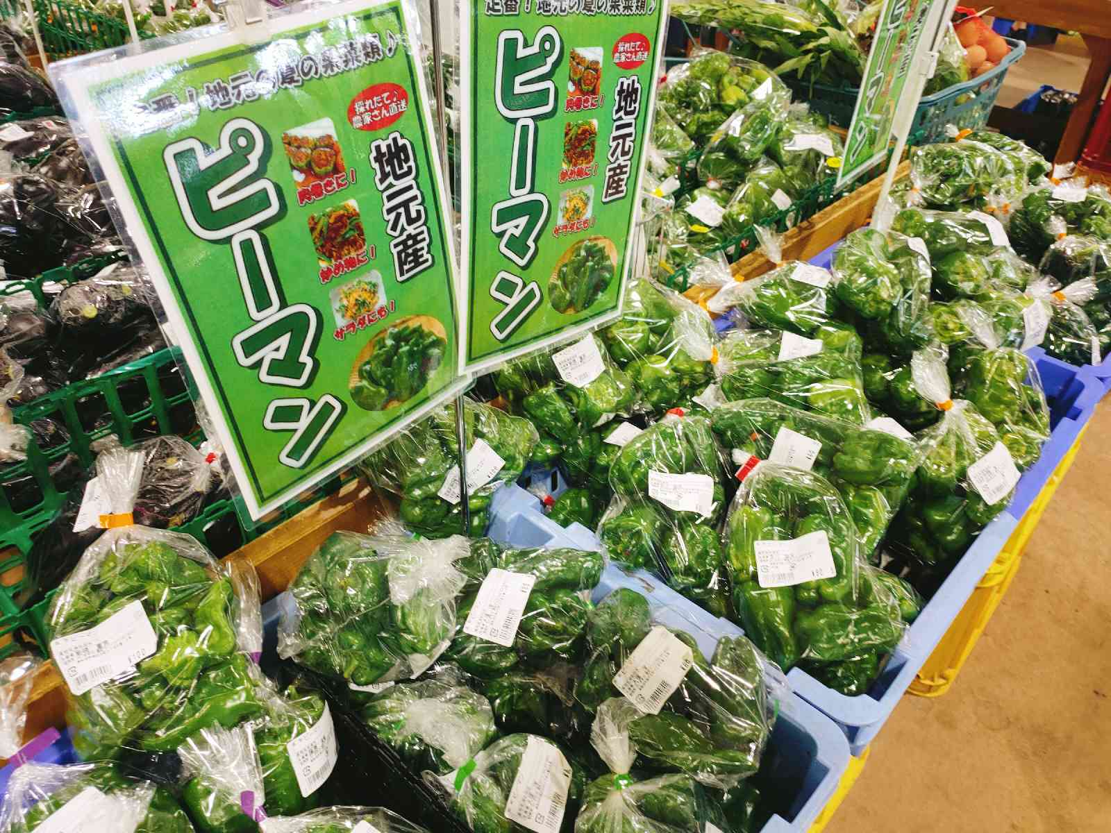 投稿された画像