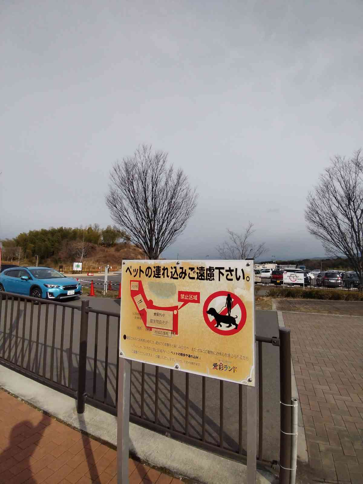 道の駅 愛彩ランドの写真