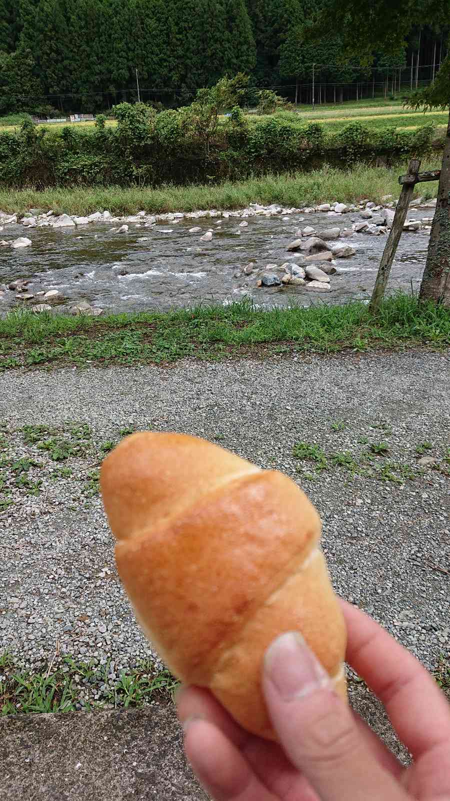 投稿された画像
