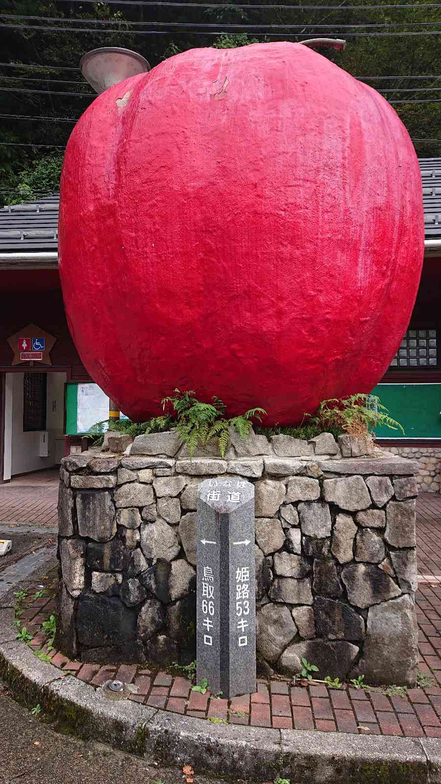 投稿された画像