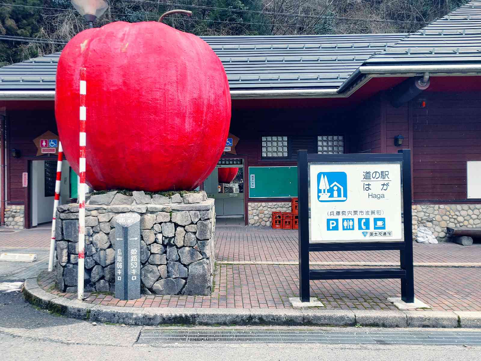 投稿された画像
