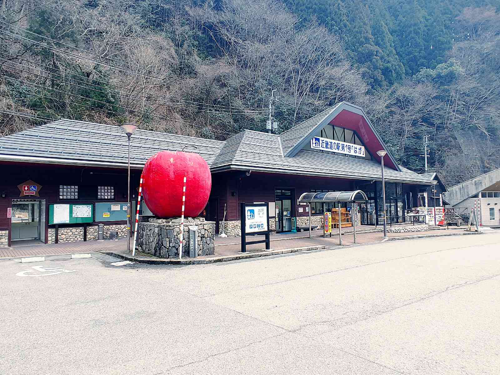 投稿された画像