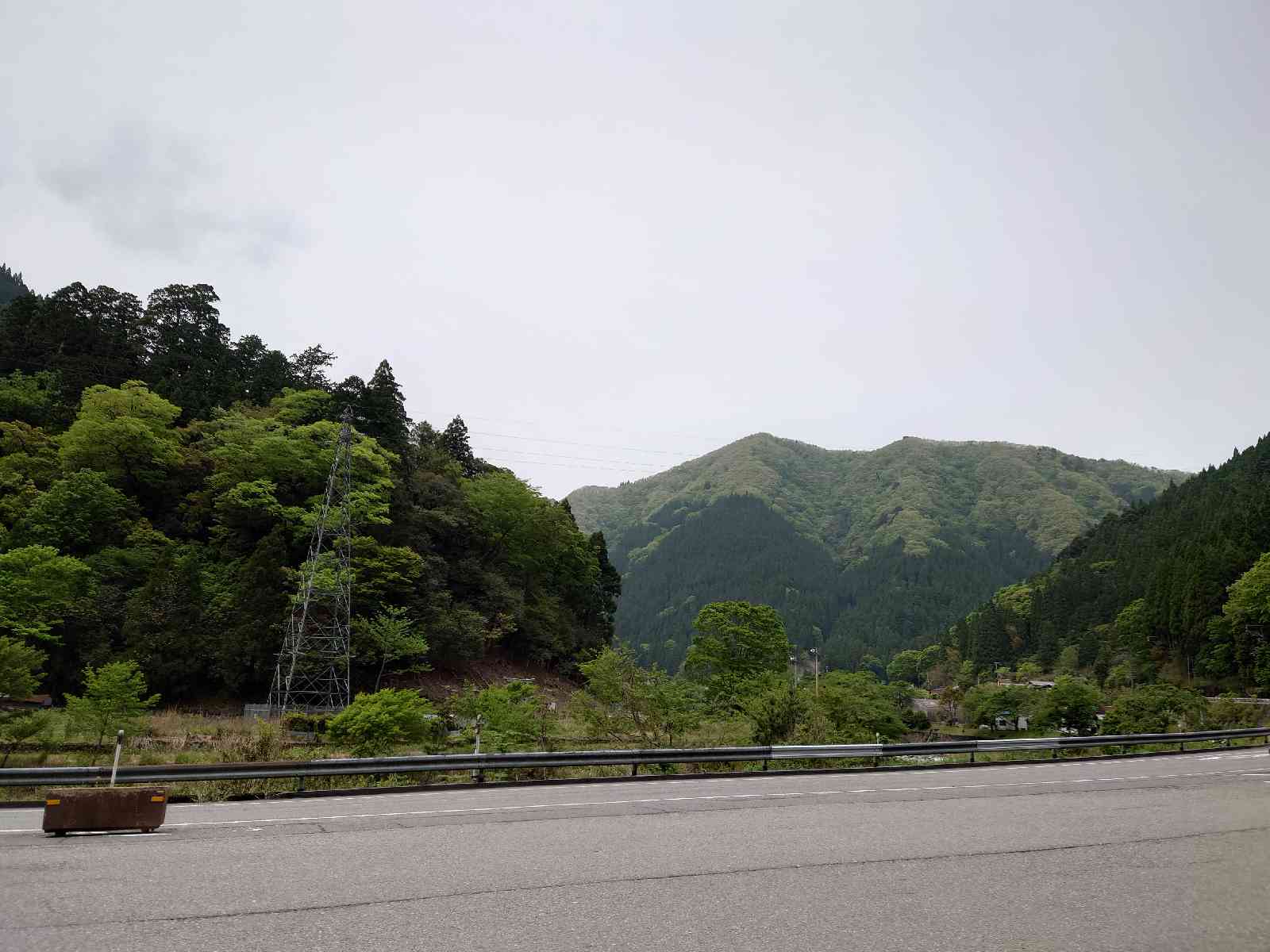 投稿された画像