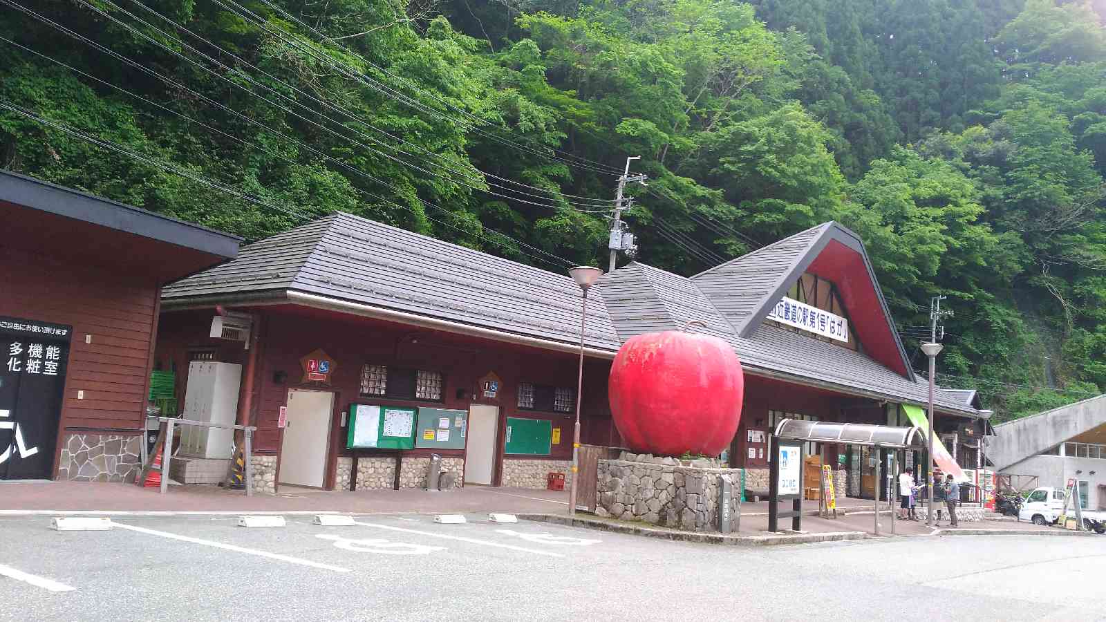 投稿された画像