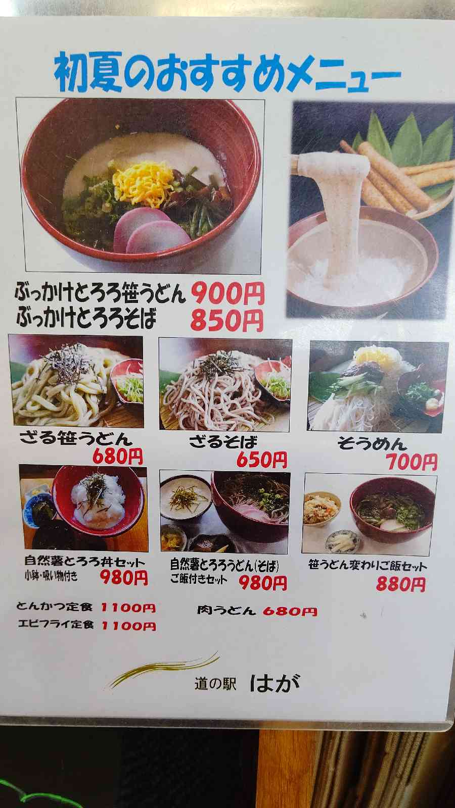 投稿された画像