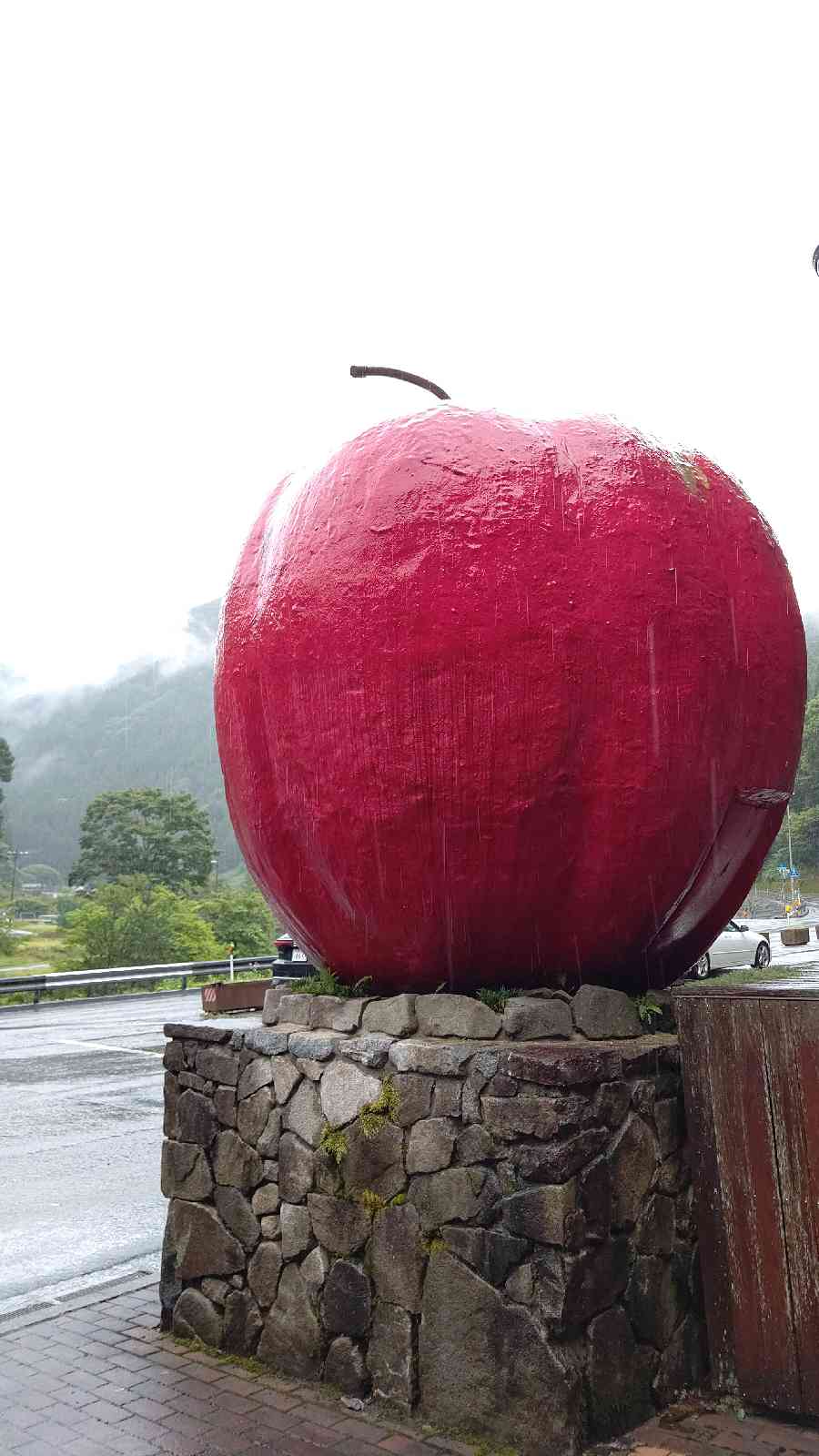 投稿された画像