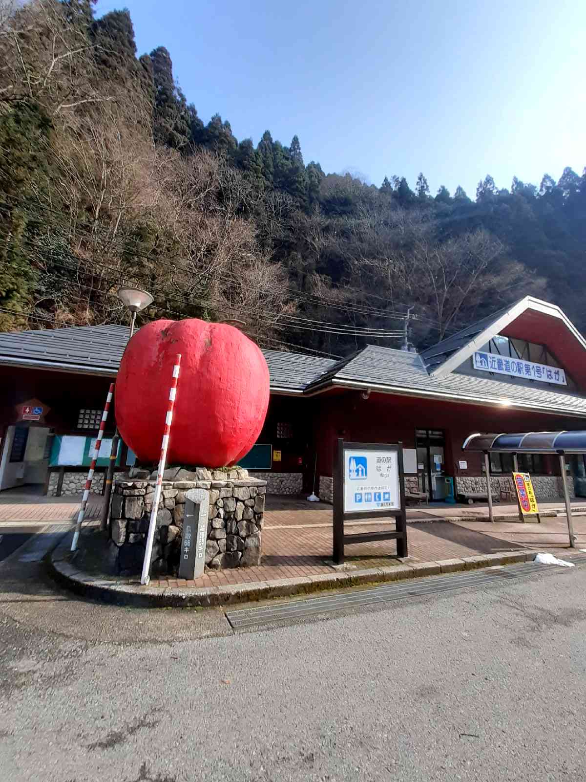 投稿された画像